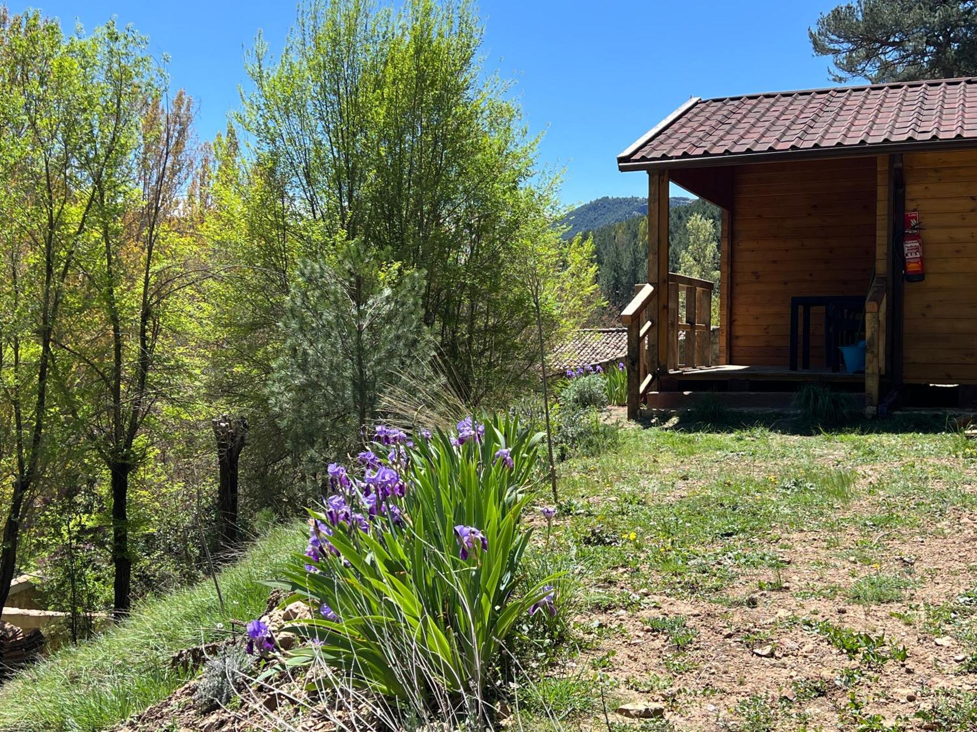 Garrote Gordo Campsite *